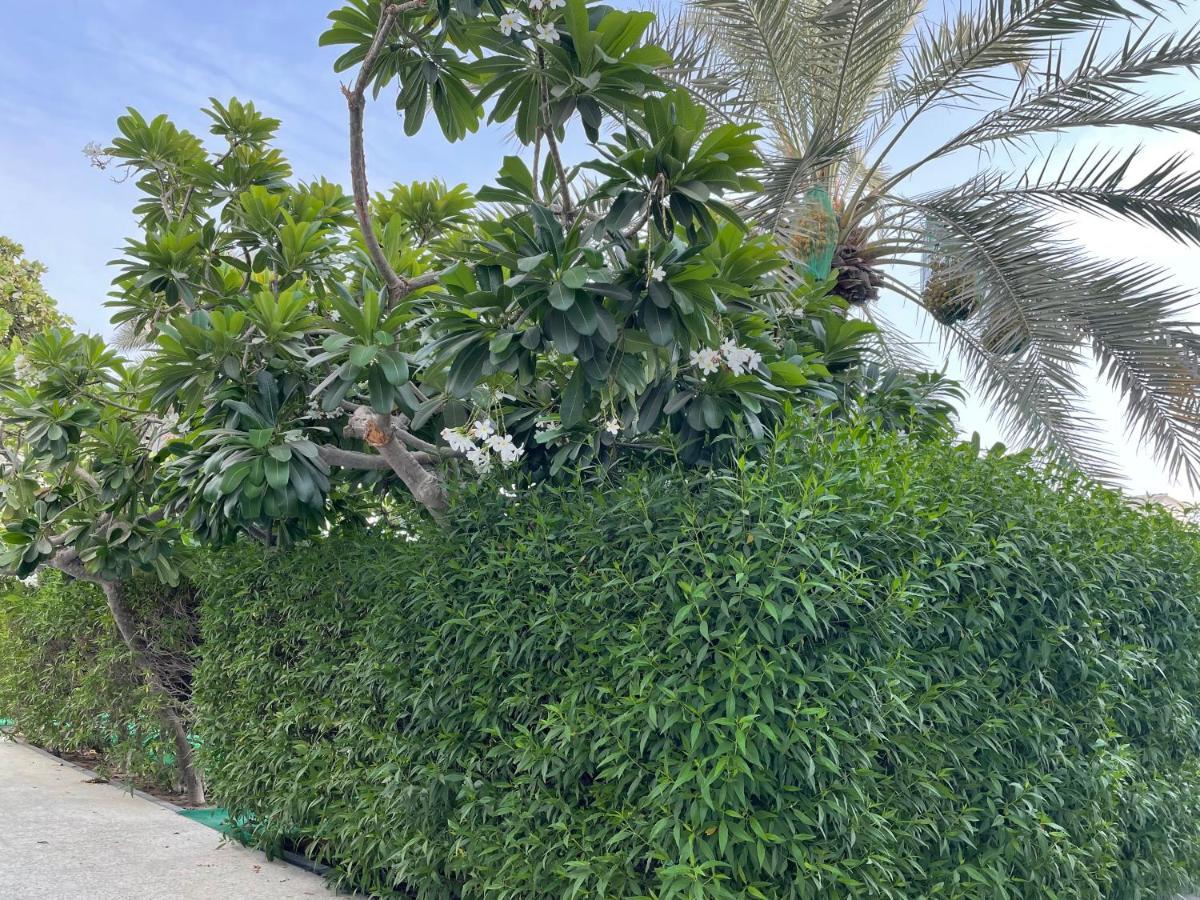 Al Corniche Hotel シャルジャ エクステリア 写真